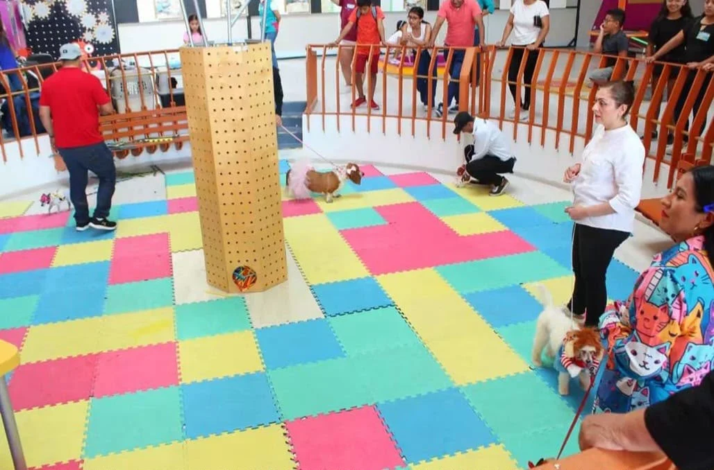 Invitan a proveedores a participar en Expo Mi Mascota 2026 con espacios gratuitos