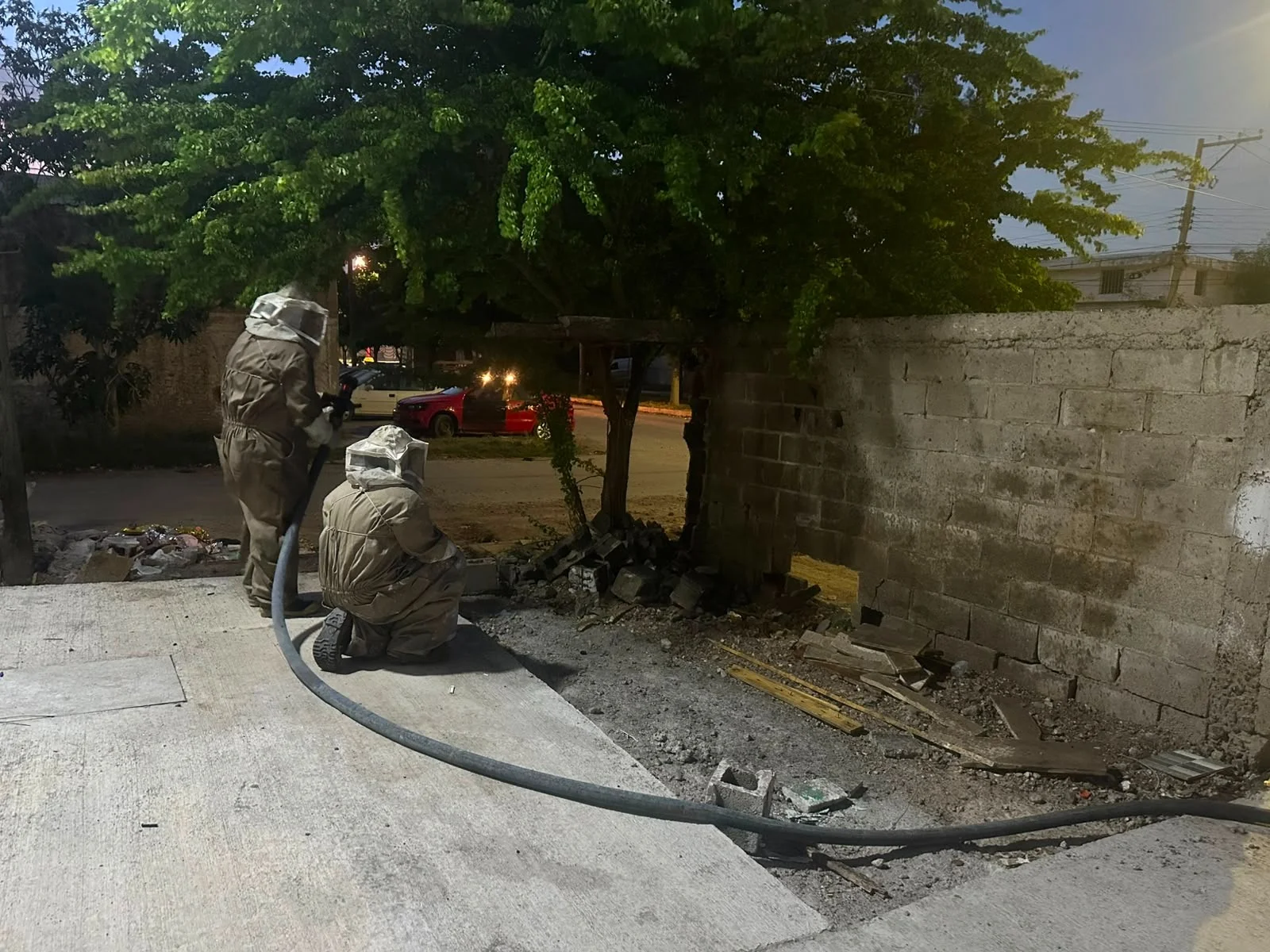 Protección Civil atiende casi 500 reportes de enjambres de abejas en Torreón