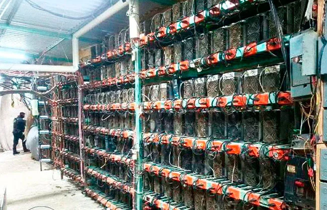 Desmantelan granja clandestina de criptomonedas en Puebla