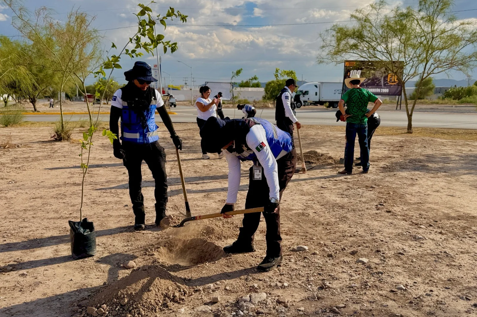 Reforestan espacio público en Rincones de la Joya con 20 nuevos árboles