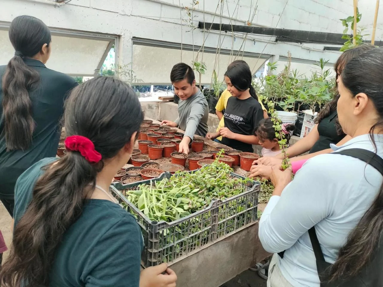 Jóvenes realizan servicio social con producción de plantas en Vivero Municipal
