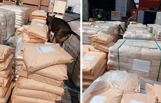Inmovilizan 54 toneladas de dextrosa en Manzanillo
