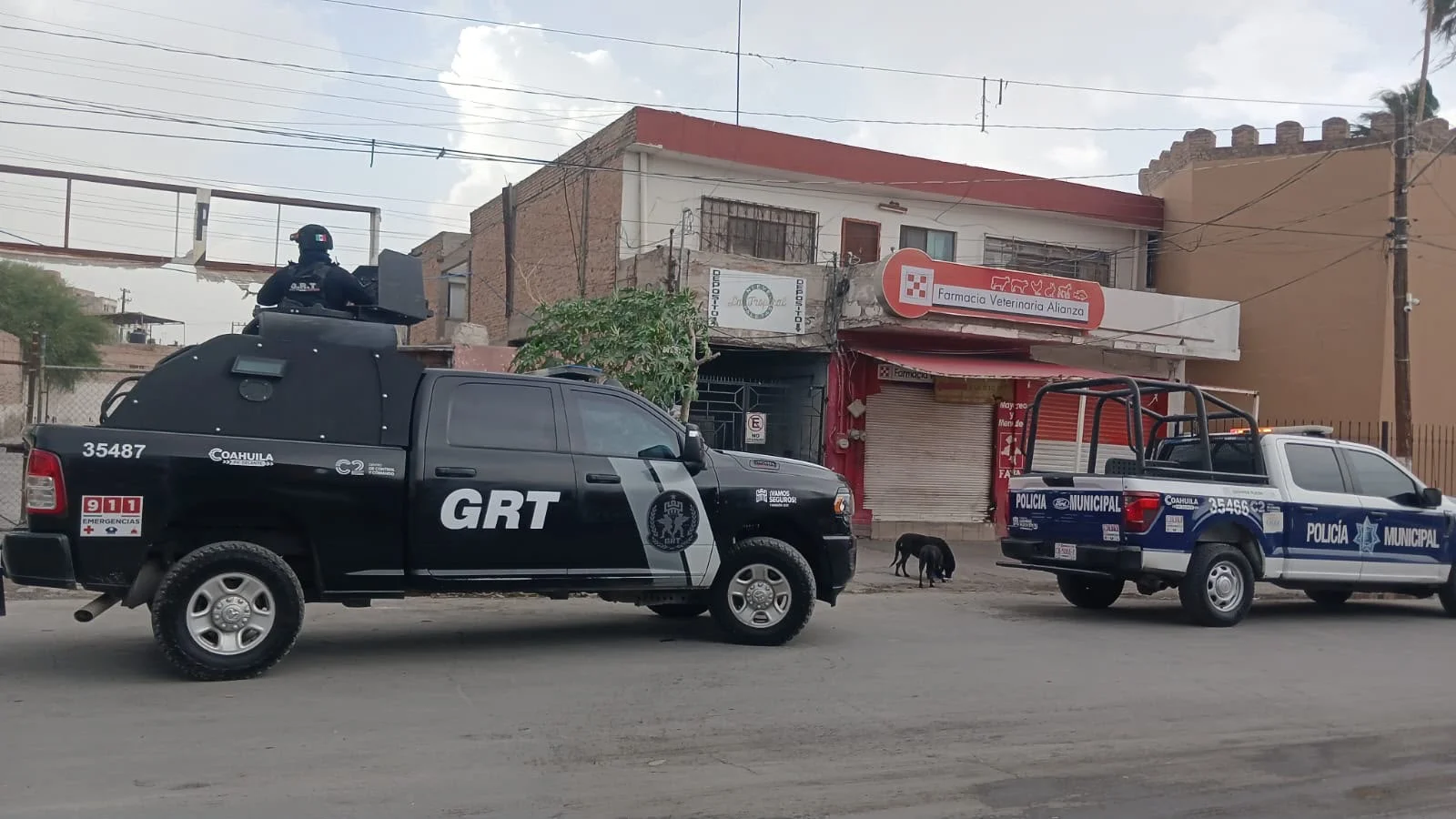 Autoridades de Torreón se movilizan ante avistamiento de supuesta pantera en el Centro