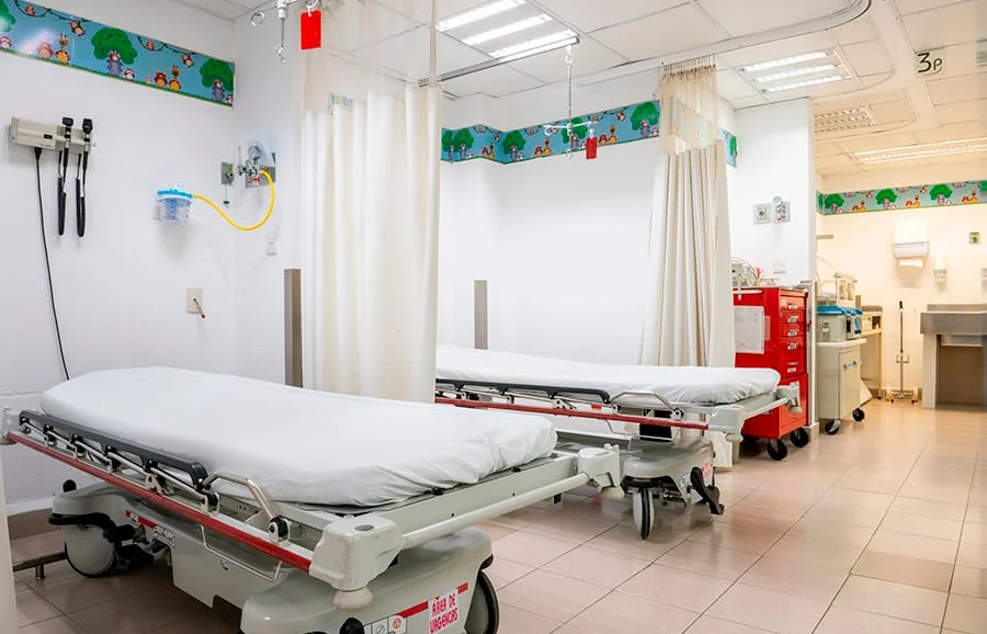 Rickettsia en Coahuila: síntomas, contagio y dónde recibir atención médica