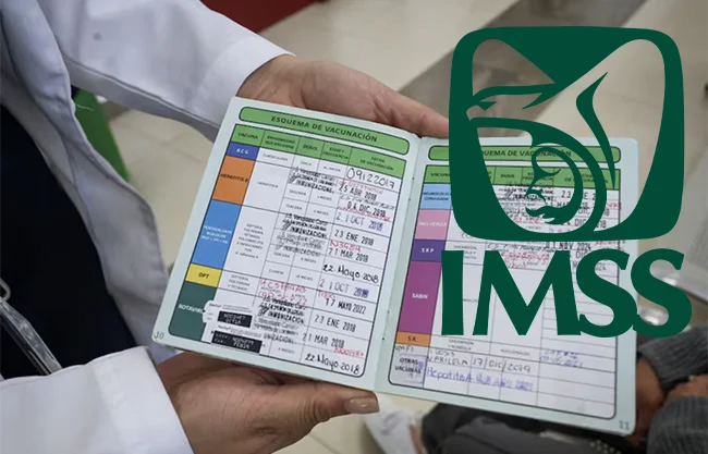IMSS en Coahuila: cómo sacar cita, darte de alta y acceder a nuevos servicios médicos