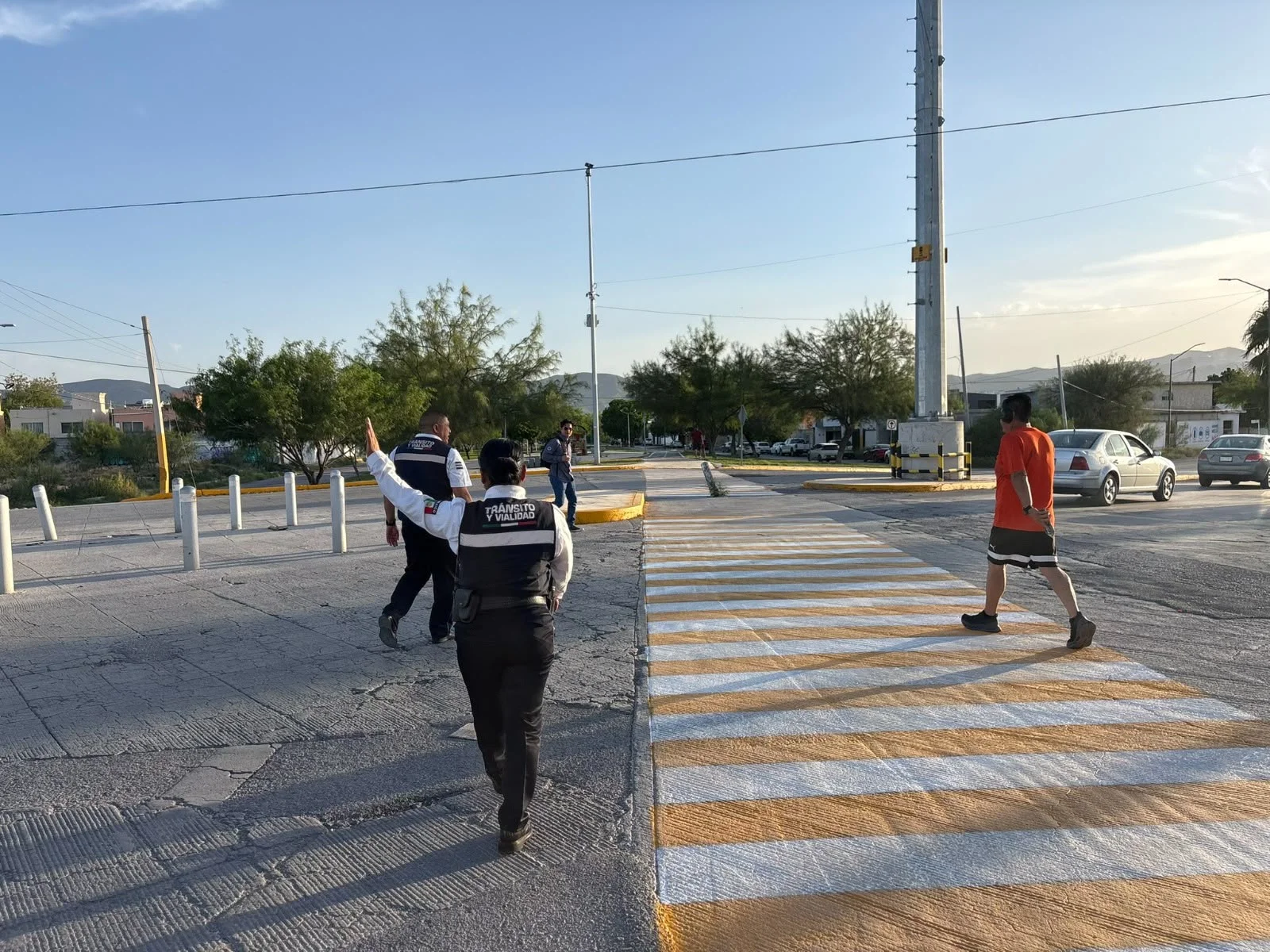 Llaman a conductores de Torreón a extremar precauciones para evitar atropellamientos