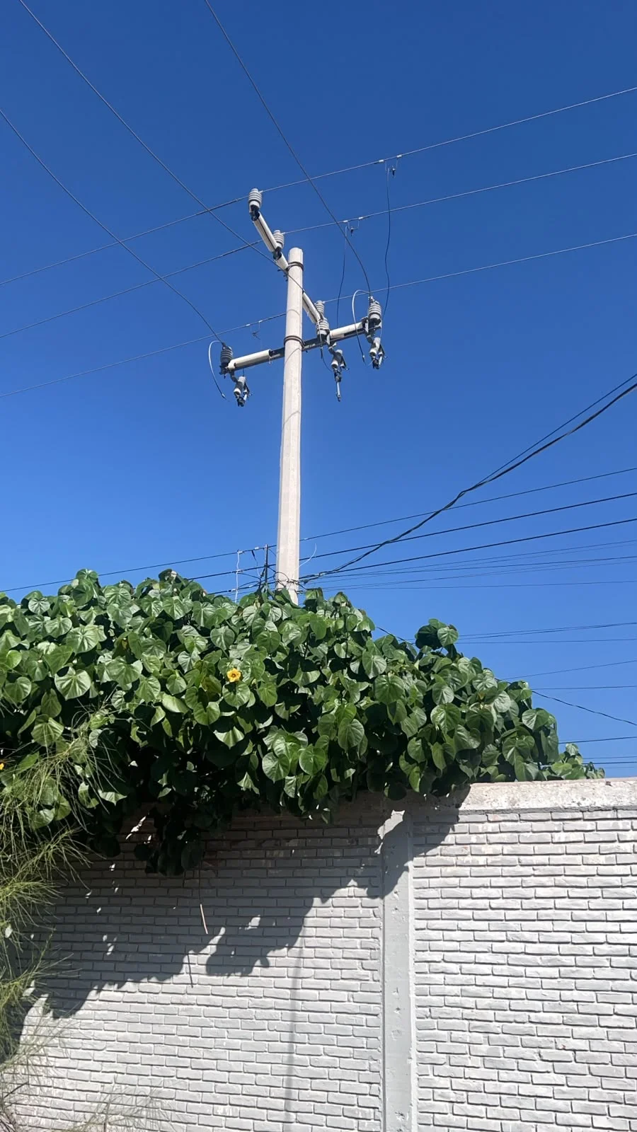 Falla de energía eléctrica deja sin agua a tres colonias de Torreón; bomba 27 R permanece sin servicio