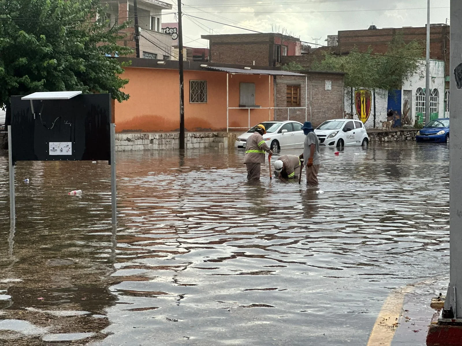 Lluvia y fuertes ráfagas de viento dejan árboles caídos, semáforos apagados y encharcamientos en Torreón