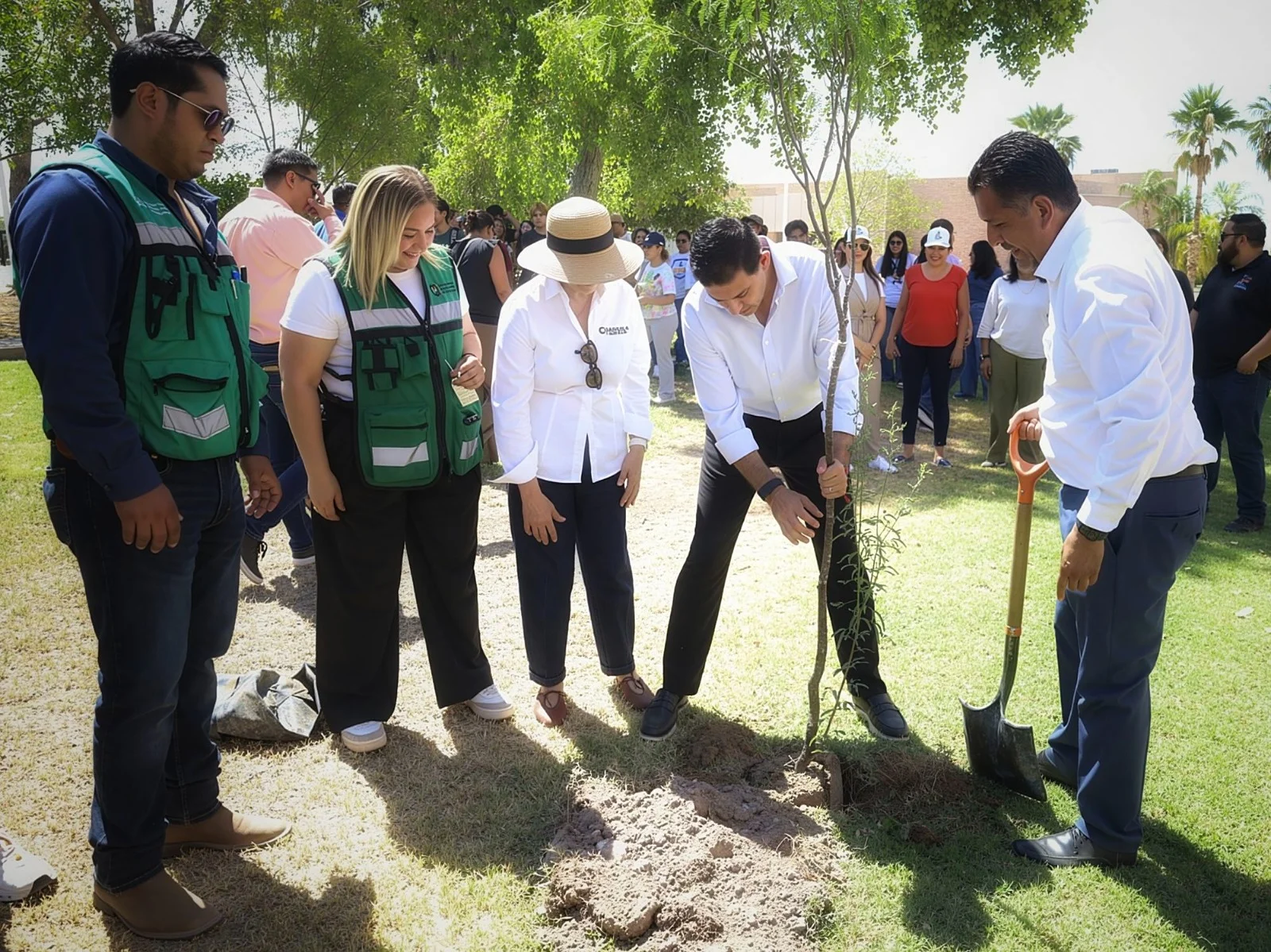 UAdeC plantará 500 árboles este año como parte de su programa Universidad Verde