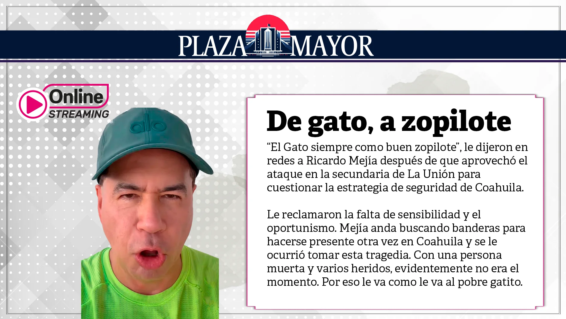 De gato, a zopilote
