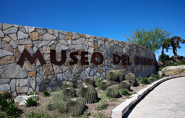 Prepara tu linterna y tu disfraz: Museo del Desierto tendrá recorrido nocturno por Día de Muertos