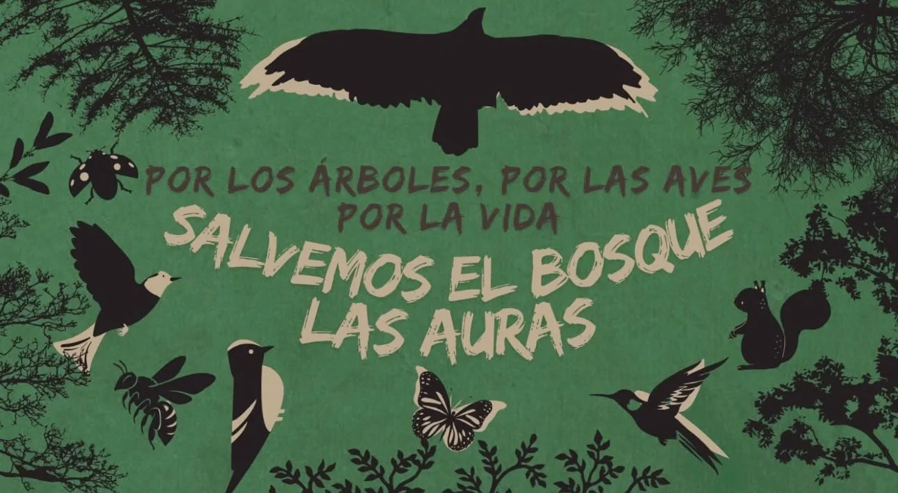 Promueven amparo federal contra obras en el Bosque Las Auras