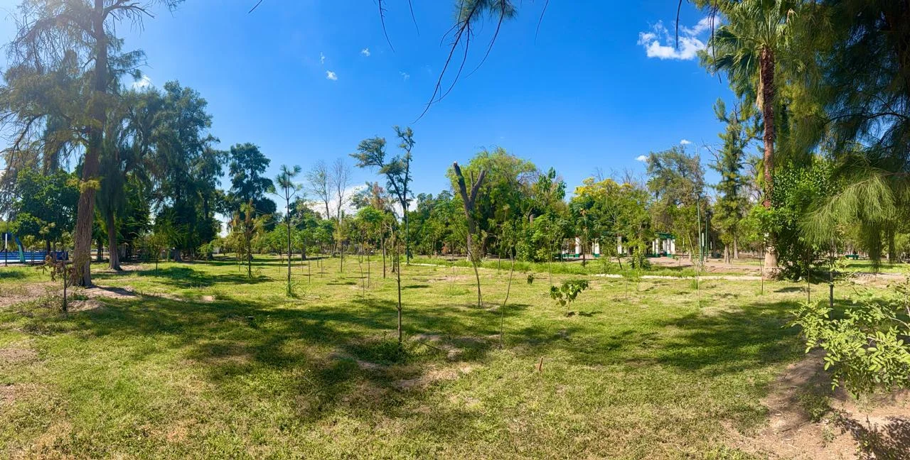 Bosque Venustiano Carranza suma mil árboles; prevén plantar 300 más