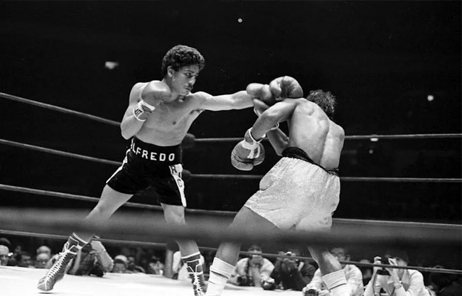 Muere Wilfredo ‘Bazooka’ Gómez, leyenda del boxeo, a los 69 años