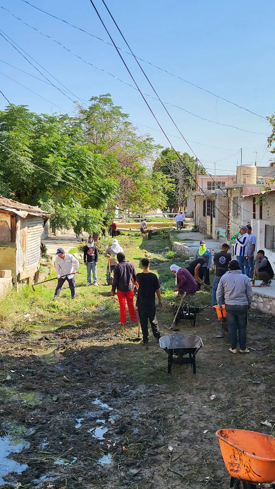 Personas en rehabilitación participan en recuperación de espacios públicos en Torreón