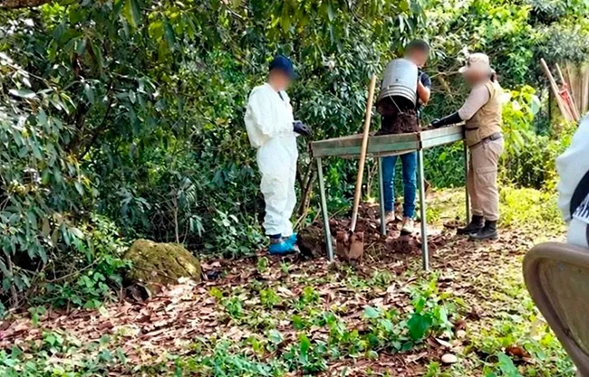 Ropa, casquillos y restos calcinados: el desgarrador hallazgo en un predio de Xalisco, Nayarit