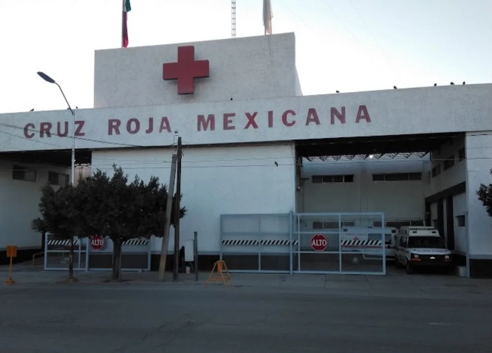 Cae de palma y sufre heridas de gravedad en ejido La Unión de Torreón