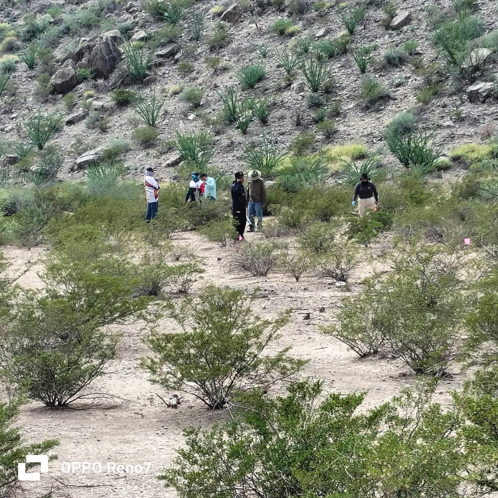 Localizan restos humanos durante jornada de búsqueda en Matamoros