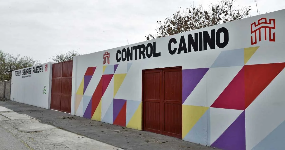 Invitan a convivir con perros resguardados en Control Canino de Torreón