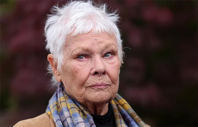 Judi Dench afirma que su afección ocular le impide hacer teatro, cine o leer