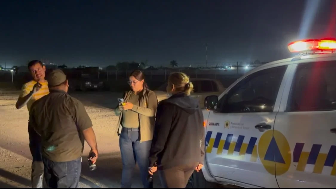Descartan presencia de oso tras reporte de avistamiento en Torreón