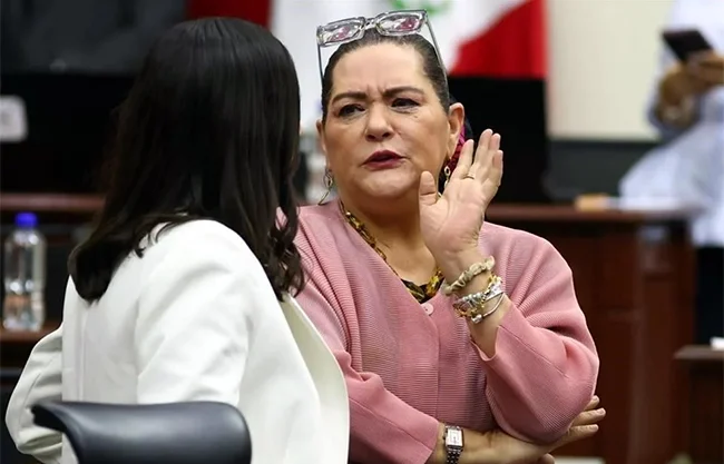 'No me voy', advierte Guadalupe Taddei a consejeros del INE