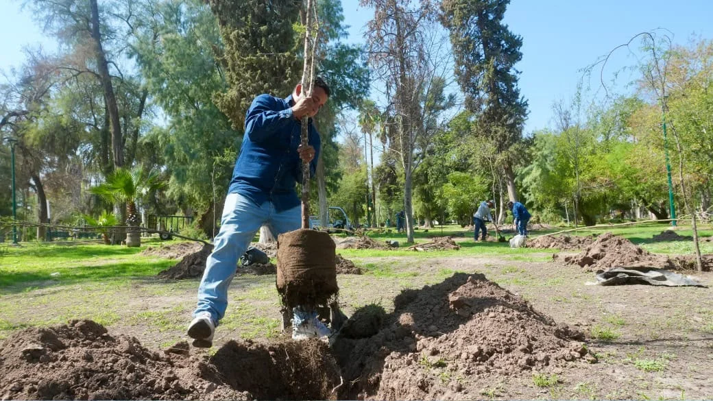 Bosque Venustiano Carranza alcanza mil 300 ejemplares plantados