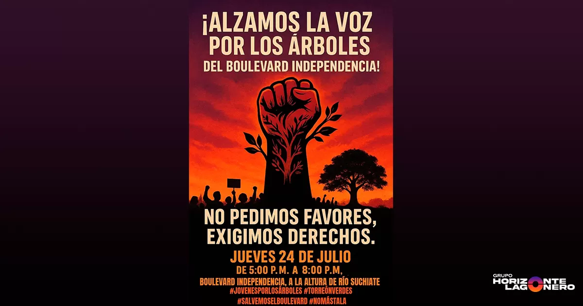 Los árboles en cuestión poseen hasta 3 décadas de vida, lo que les confiere un valor de identidad, convirtiéndolos en un símbolo del crecimiento y memoria colectiva de la ciudad