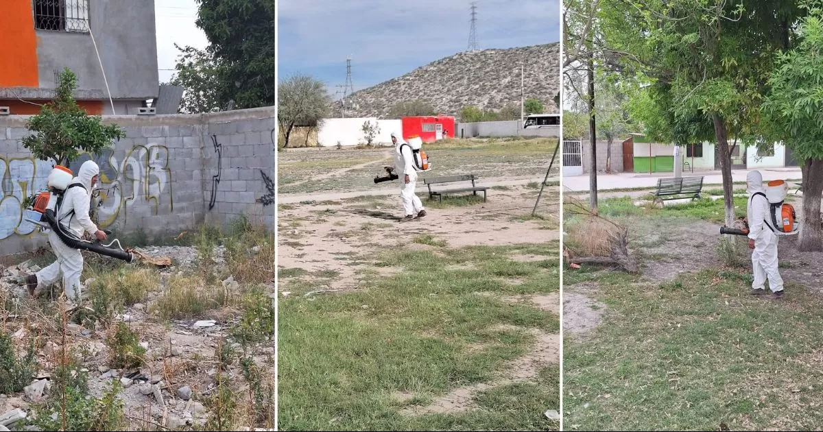 Arrancan en Gómez Palacio fumigaciones contra Dengue, Zika y Chikungunya