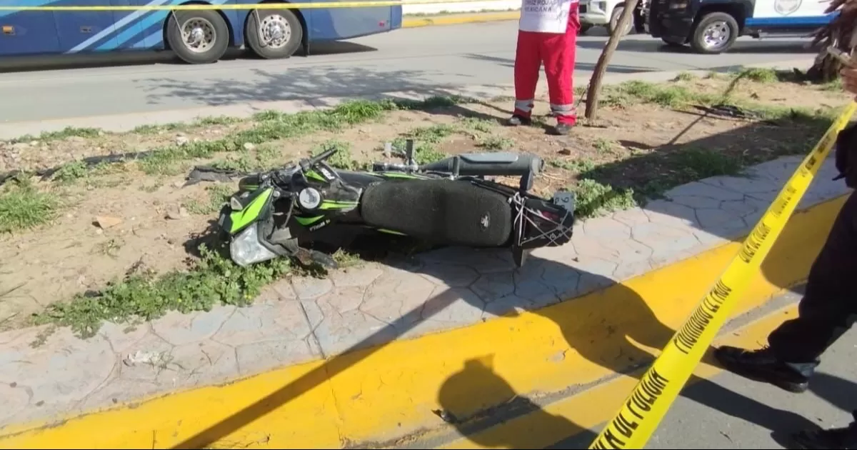 Motociclista pierde la vida tras impactar contra una palma en antigua carretera a San Pedro