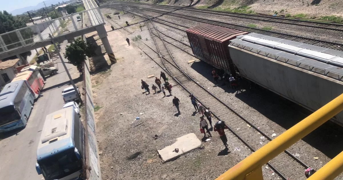 Más de un centenar se pudieron observar al costado de la vía ubicada al oriente de Torreón