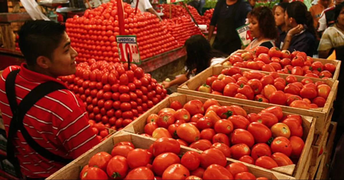 México fija precios mínimos de exportación para el tomate fresco tras fin de acuerdo antidumping con EU
