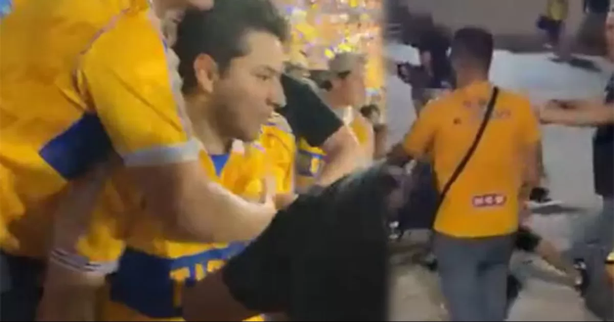 Caos en el Universitario: Aficionados de Tigres arman pelea tras derrota ante América