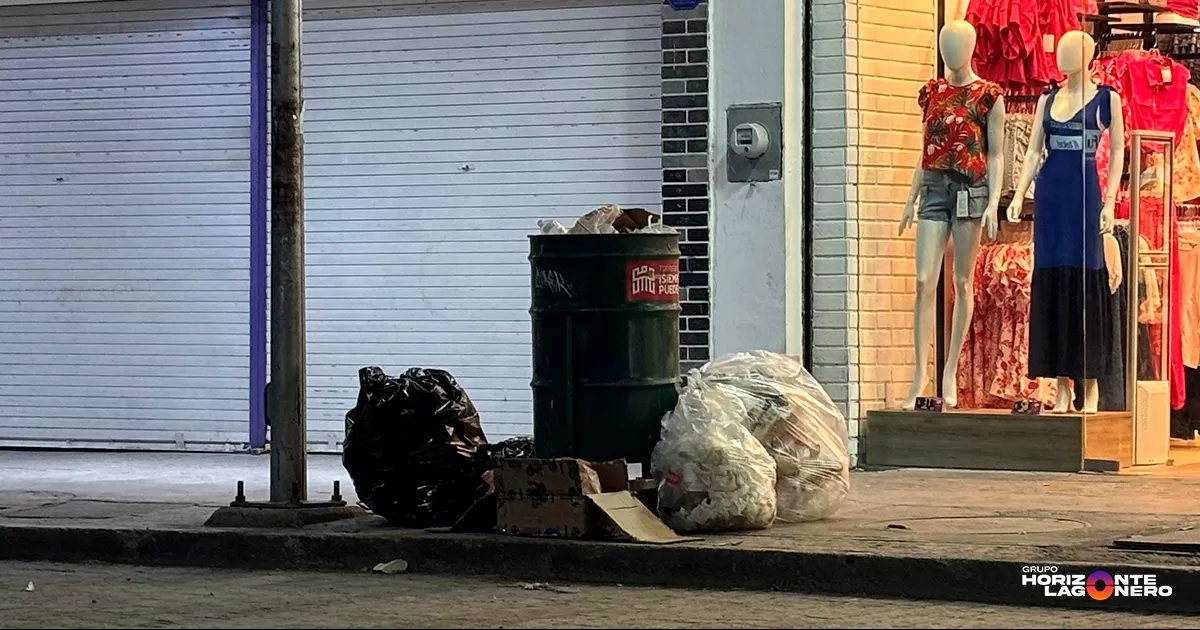 El funcionario detalló que la propuesta incluye cerca de 200 botes de basura que se distribuirán en puntos estratégicos.