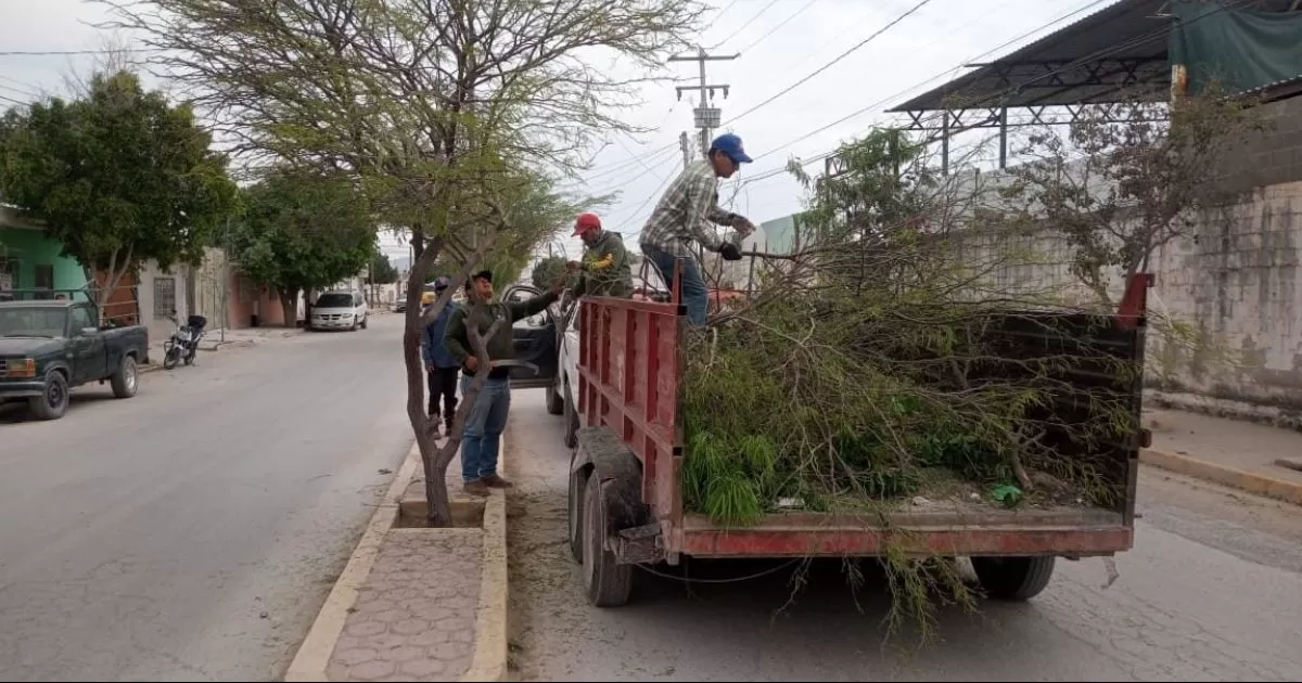 Mantienen acciones de limpieza en la Laguna de Durango