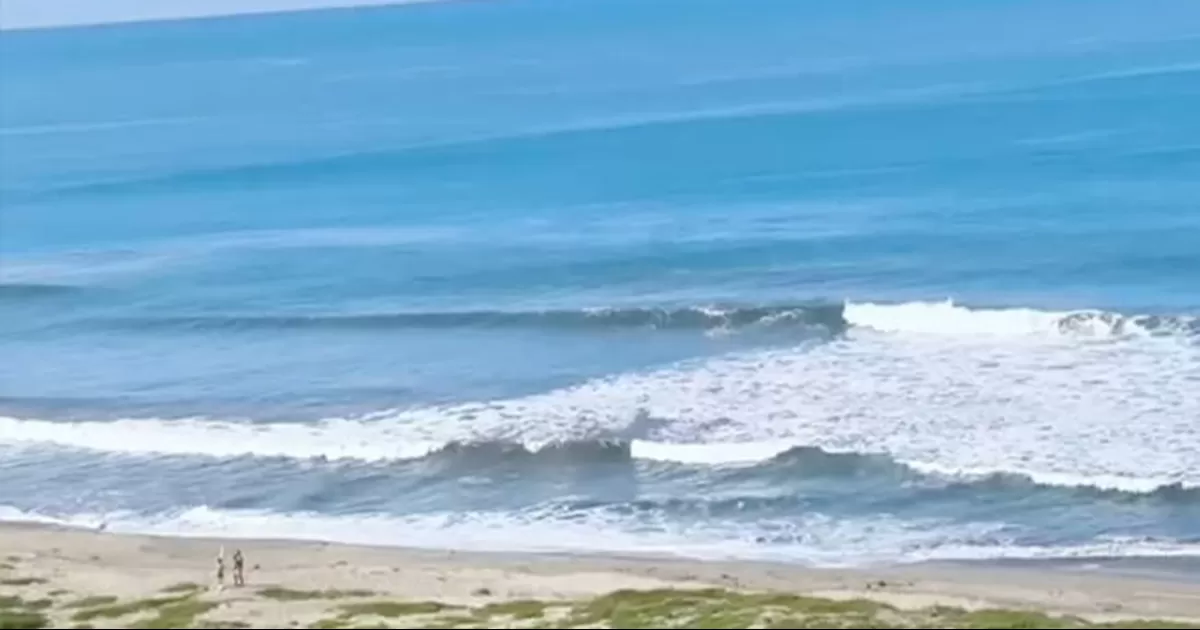 Los rescatistas ingresaron al mar y, tras sortear el fuerte oleaje, lograron poner a salvo a todos los bañistas.