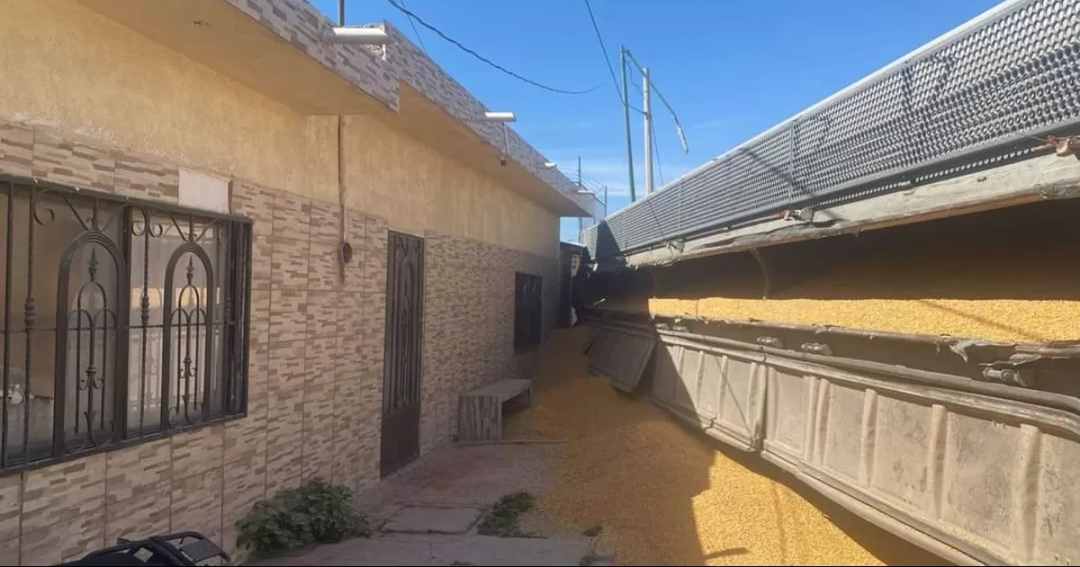 Se descarrila tren en Gómez Palacio, vagones cargaban cereal