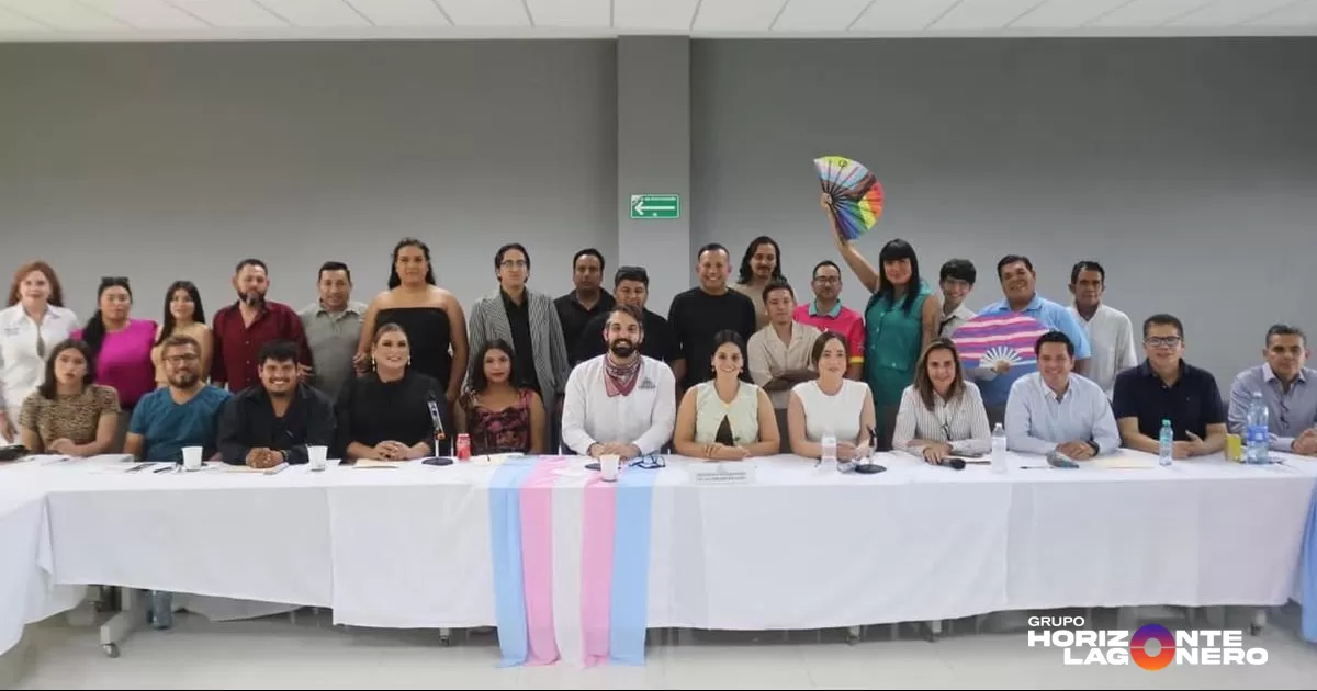 La iniciativa, ya aprobada en la Comisión de Puntos Constitucionales, busca modificar la forma en que se aplican las acciones afirmativas para la participación política, eliminando la exclusividad de candidaturas por grupo, a diferencia de cómo está estructurado en el modelo federal