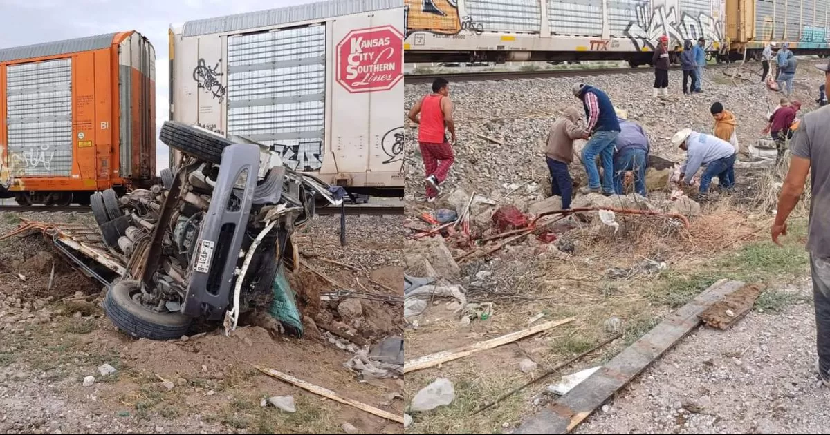Tren choca contra camión de transporte de ganado en la Laguna de Durango, realizan rapiña de carne