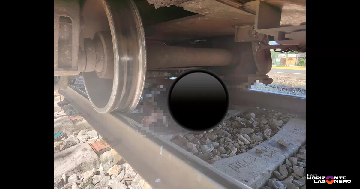 Según testigos de los hechos, Gerardo se colocó en las vías del tren para ser arrollado, presuntamente un día antes había intentado lo mismo pero fue retirado por los habitantes del sector.