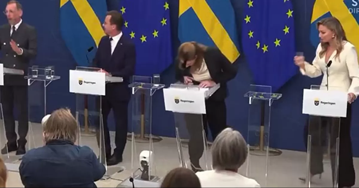 Elisabet Lann estaba junto al primer ministro Ulf Kristersson y otros funcionarios cuando de repente se cayó y se golpeó la cabeza contra el atril