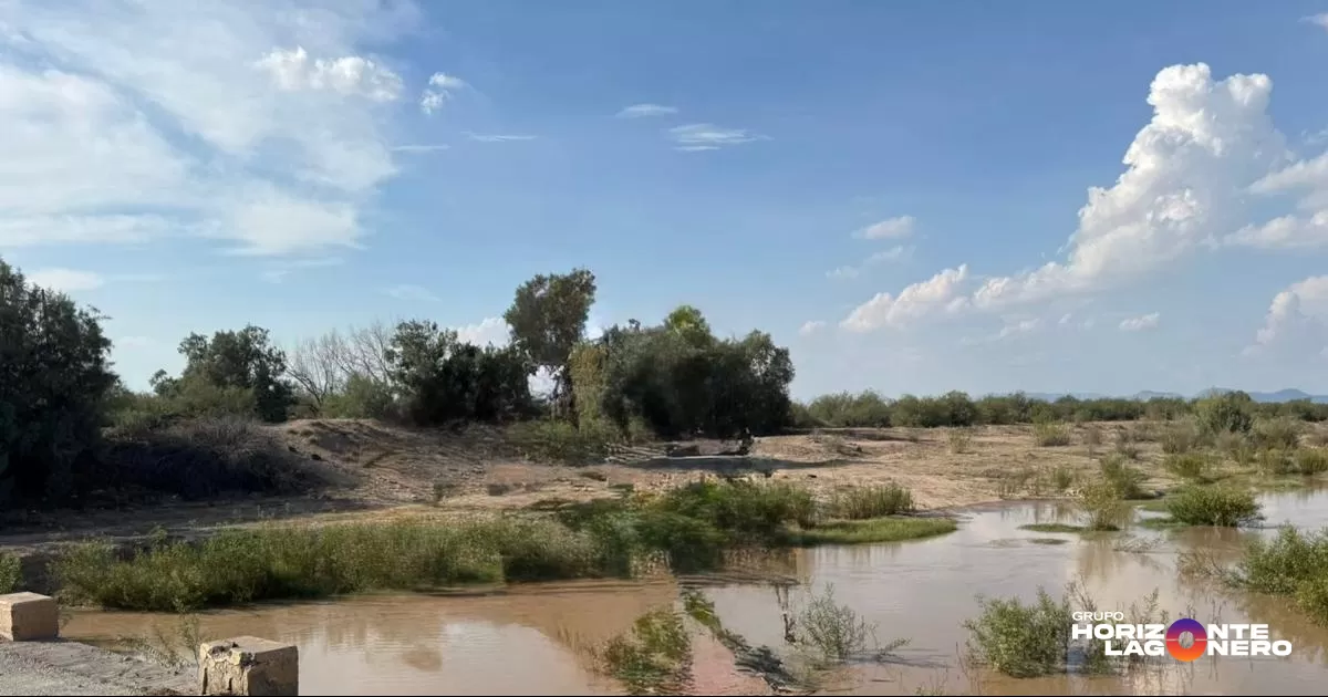 El organismo trabaja de manera coordinada con autoridades de los municipios de Torreón, Matamoros y Viesca, así como con la Coordinación Estatal de Protección Civil, con el objetivo de proteger a las poblaciones que atraviesa el afluente.