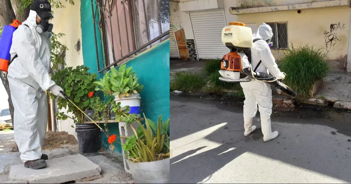 Buscan evitar casos de Rickettsia en la Laguna