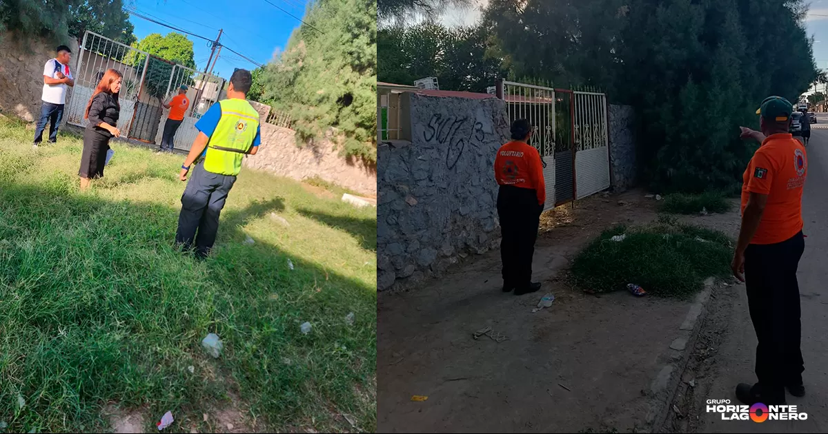 El incidente se registró alrededor de las 17:00 horas, cuando el enjambre se tornó agresivo y atacó a las personas que se encontraban en el plantel.