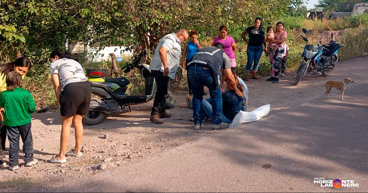Se atraviesa perro en carretera y provoca accidente en ejido de Lerdo, Durango
