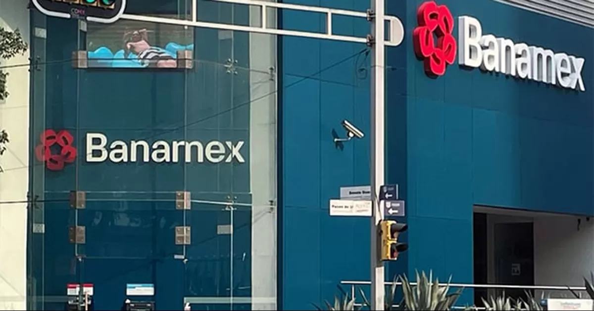 Señaló que su oferta incluye planes para retener 60% de la inversión y vender el 40 restante a privados y fondos de pensiones locales.
