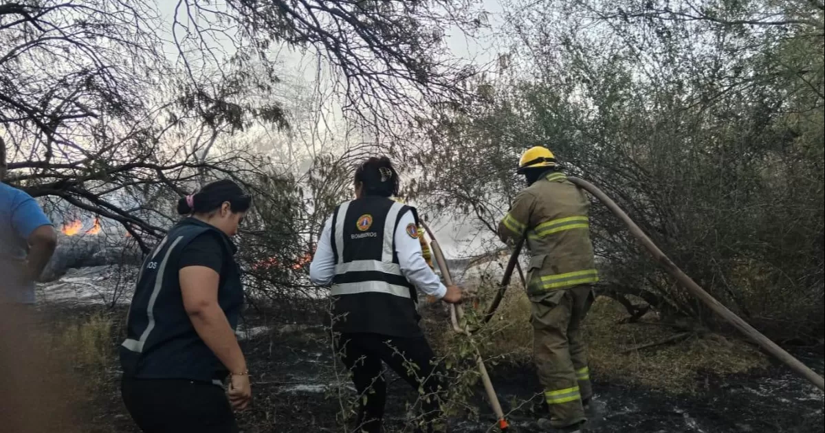 Rachas de viento dejan incendios en la Laguna de Durango