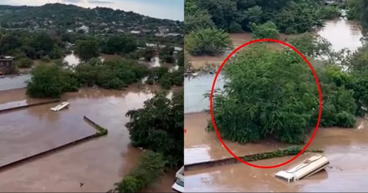 Video muestra a un niño atrapado en un árbol pidiendo ayuda, tras el desbordamiento del río Cazones que inundó calles, viviendas y comercios