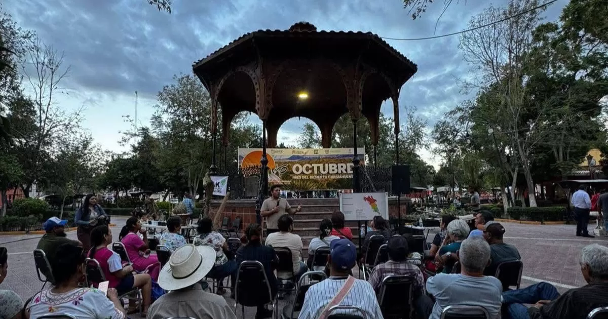 Alrededor del kiosco se congregaron 9 expositores de la Comarca Lagunera ofertando diferentes especies de cactus, teniendo gran éxito desde su instalación a las 16:00 horas cuando comenzó a acercarse la ciudadanía.