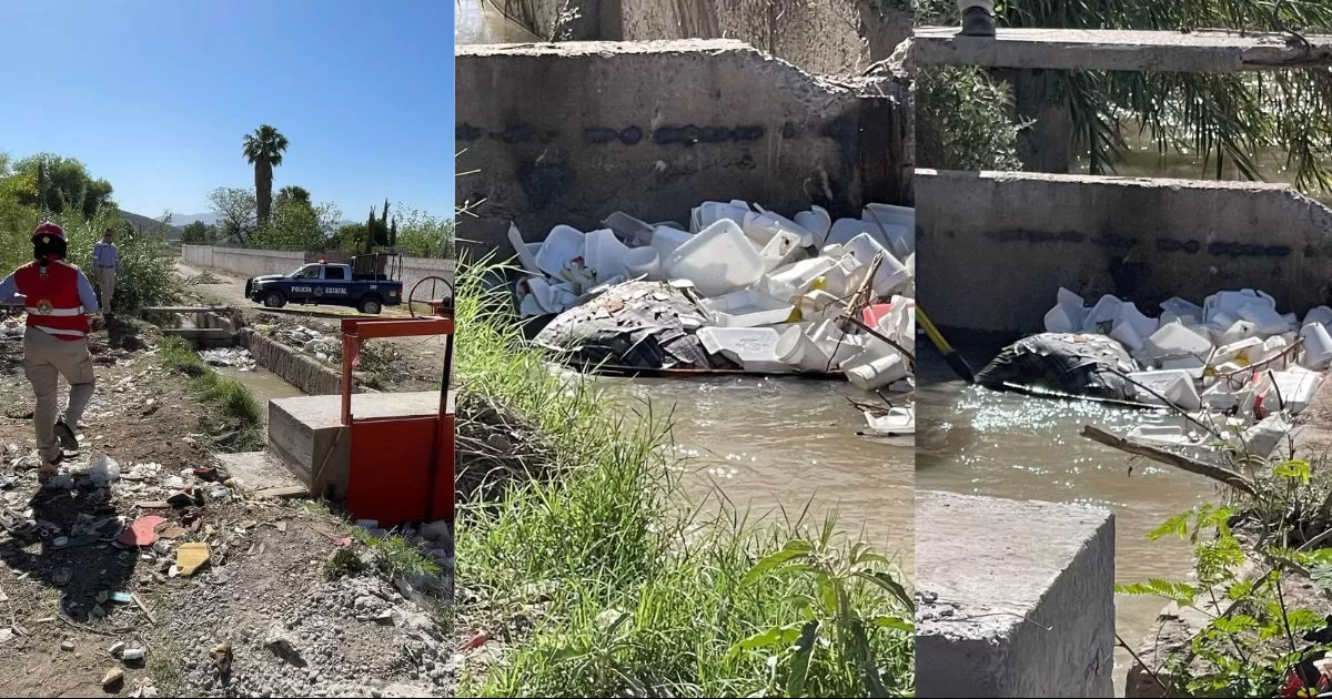 Se reportÃ³ el cadÃ¡ver flotando entre basura y desechos de la estructura, por lo que de inmediato se movilizaron elementos de rescate y autoridades hasta la zona.